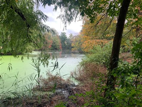 Hidden Waters blog – Companion blog for the book "Hidden Waters of NYC"