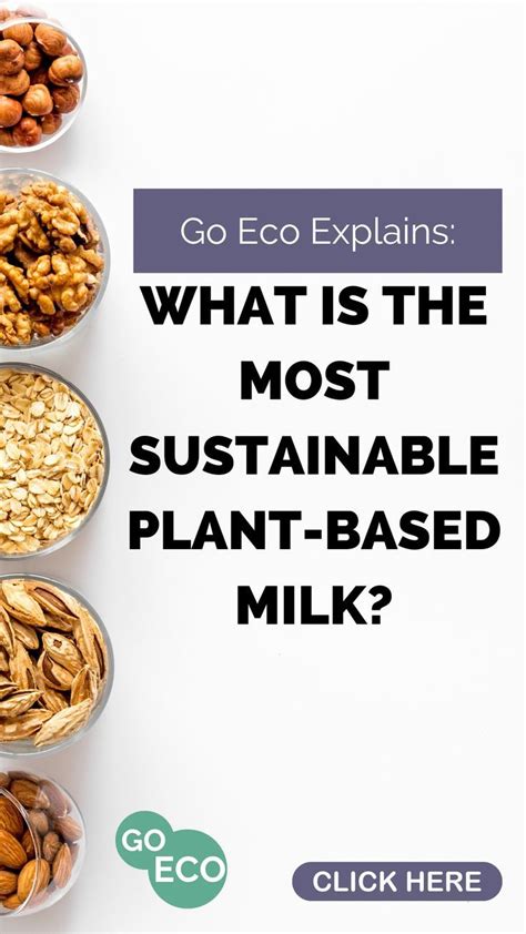 The Most Sustainable Plant Based Milks