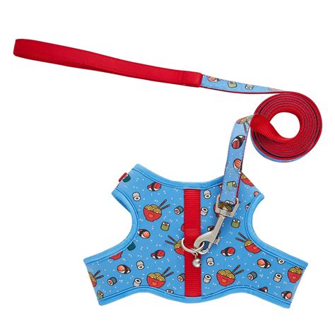 Petsmart Nose Leash at Daniel Manns blog