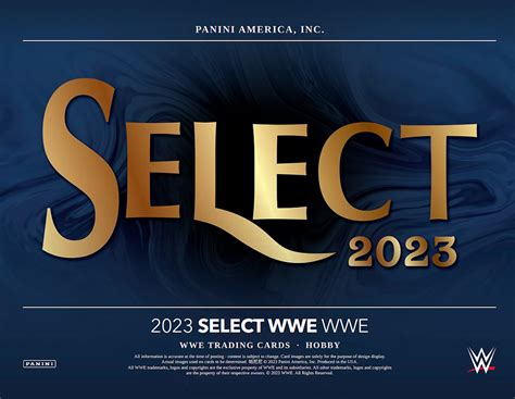 Panini Wwe Select