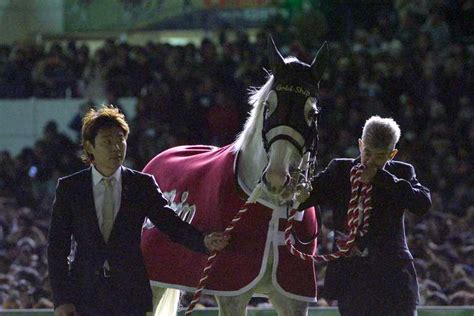 威圧で周りの馬が逃げた！ 今浪元厩務員が語るゴールドシップ「人生を変えてくれた馬」 サンスポzbat