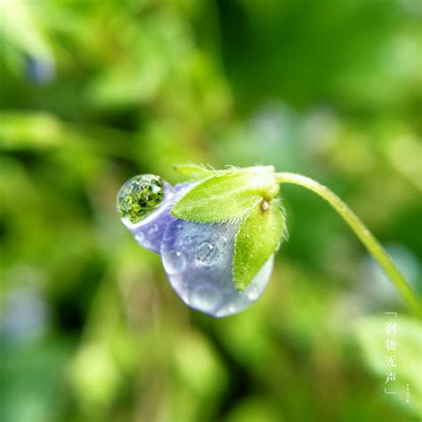 润物无声春风化雨润物无声润物细无声第4页大山谷图库