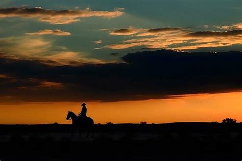 Cowboy Silhouette Stock Photos, Images and Backgrounds for Free Download