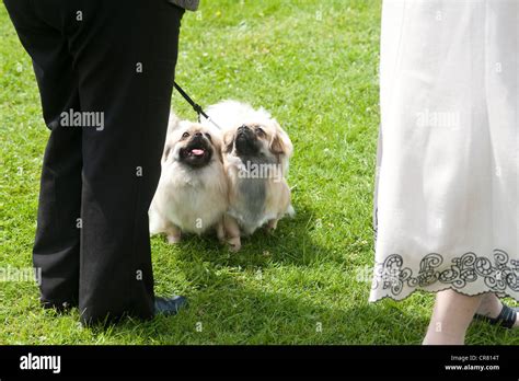 cornwall england uk stock photo alamy