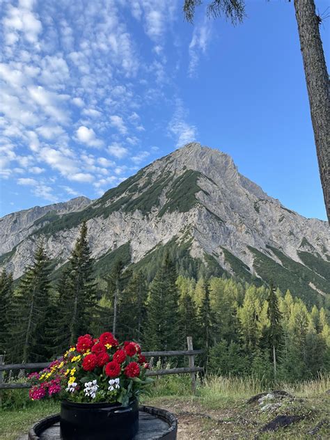 My view one morning visiting Austria : r/natureporn