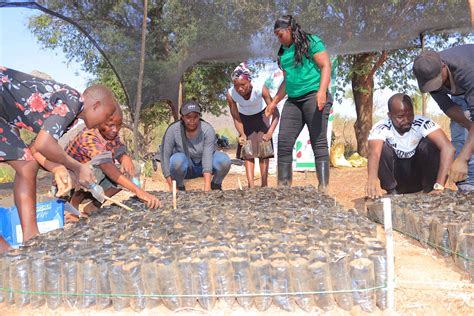 ACEECA Establishes Tree Nursery to Restore Riparian Ecosystem - African