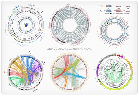 Introduction To Circos Features And Uses CIRCOS Circular Genome