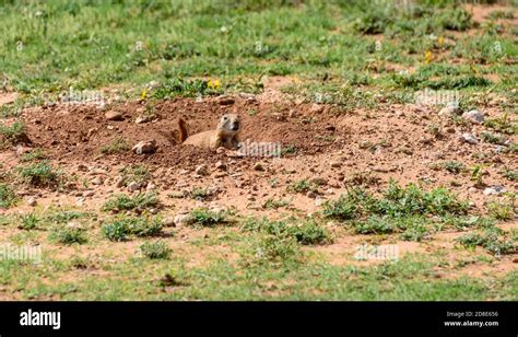 Caprock Canyons State Park And Trailway Stock Photo Alamy