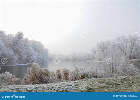 árvores Congeladas Sobre O Lago Frio No Exterior Foto de Stock