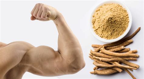 Ashwagandha Weight Loss Herb Support Weight Management