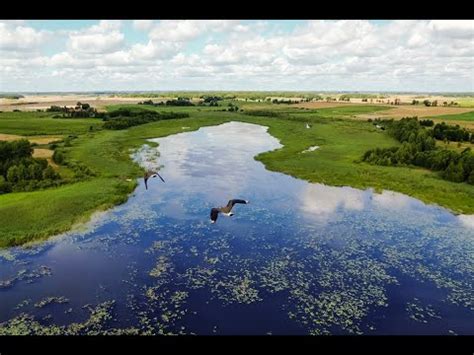 Mazury Dzia Ki Z Lini Brzegow Jeziora Skom Tno Wie Kulesze