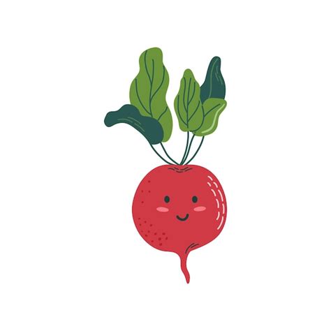 Premium Vector Beetroot Cute Kawaii Vegetable Character Flat Style