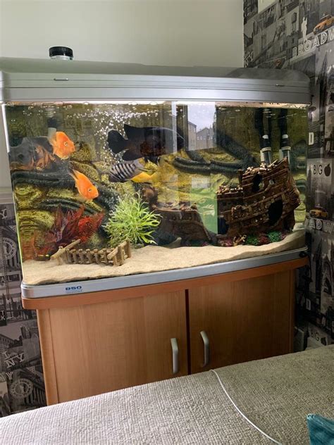 Aqua One Ar Fish Tank For Sale In Perth Perth And Kinross Gumtree