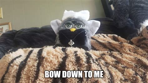 Original furby meme | Memes Amino