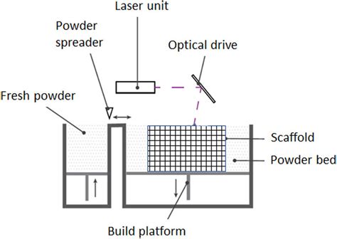 Laser powder bed fusion (SLS technique). | Download Scientific Diagram