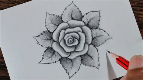 Los Mejores Ejemplos De Dibujos De Rosas