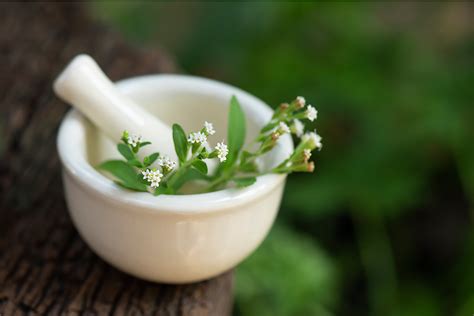 Какво е стевия и какви са нейните ползи?