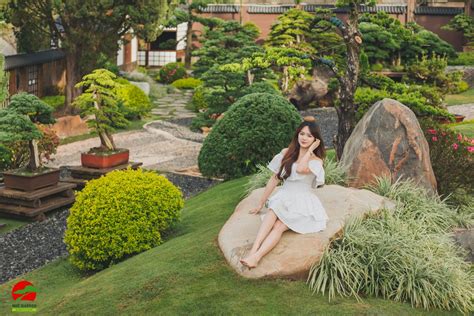 A I M Check In L T Ang Hot C S Ng O L L N Xu H Ng Qu Garden Bonsai Coffee