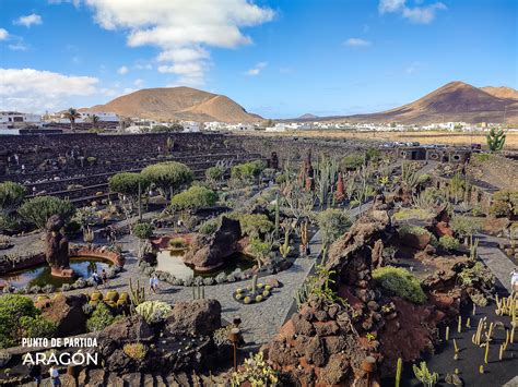 C Mo Visitar El Jard N De Cactus De Lanzarote De Una Forma Diferente