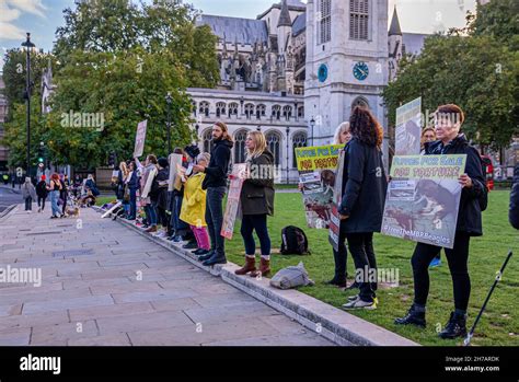 A Crowd Gather For An Anti Brexit Rally At The Houses Of Parliament