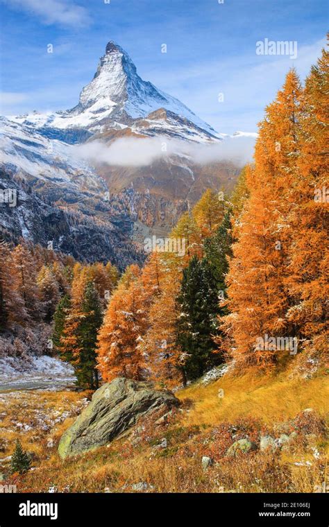 Matterhorn and larch, Valais, Switzerland, Europe Stock Photo - Alamy