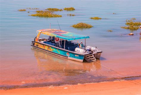 Scenic And Prehistoric Boat Tour