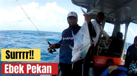 Pekan Monsoon Break Ebek Light Jigging Bersama Jambang Angler Part