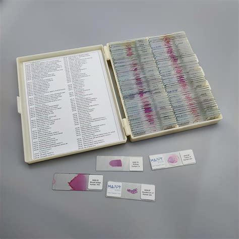 Histology Slides - Xinxiang Happy Science Co., Ltd.