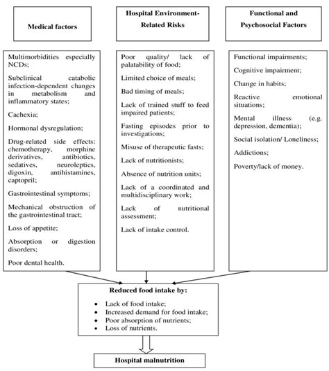 Causes of malnutrition. | Download Scientific Diagram