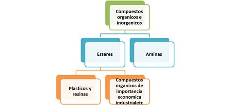 Mapa Conceptual Png