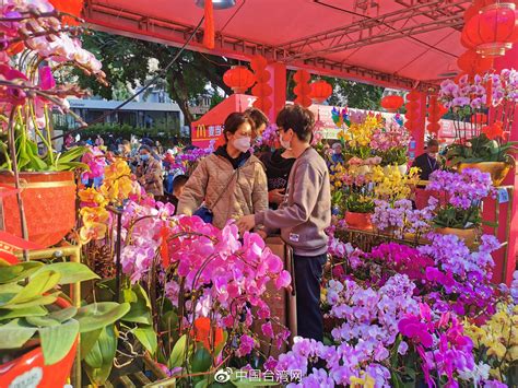 新春走基层 深圳老牌迎春花市重开 特色年味中来了台湾味道手机新浪网