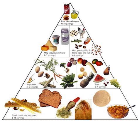 Food Pyramid Worksheets For Adults