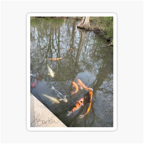 pond sticker  kayanirvdu redbubble