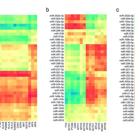 Expression Profiles Of Differentially Expressed Mirnas In Each Type Of