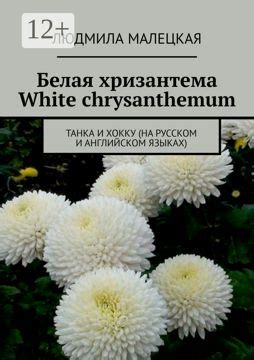 Белая хризантема. White chrysanthemum - Людмила Малецкая - купить и ...