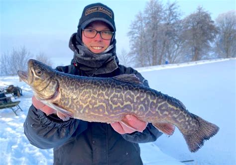 Trout Master Forellenseen Forellensee Lutter Am Barrenberge