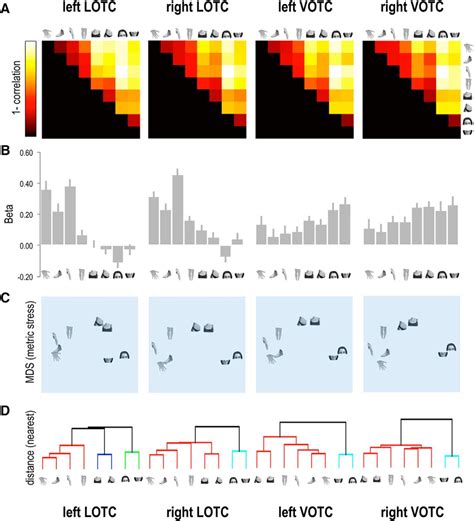 Representational Similarity Of Body Parts In Human Occipitotemporal