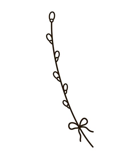 Pussy Willow Branch Isolated On White Background Vector Hand Drawn Illustration In Doodle Style