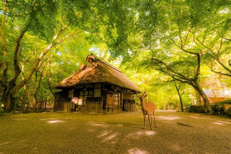 Pin de Czhym en 風景 Fotografia paisaje Paisajes Fotografia