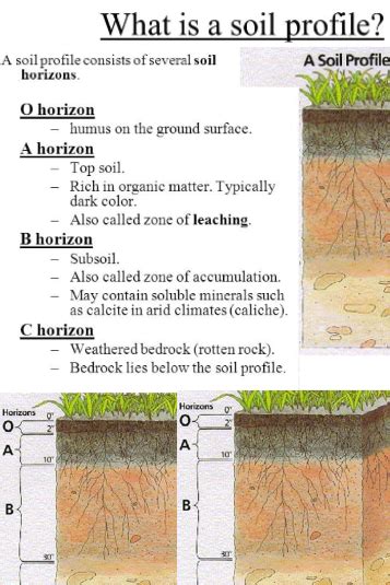 Layers of soil worksheet lovely soil profile worksheet projects to try ...