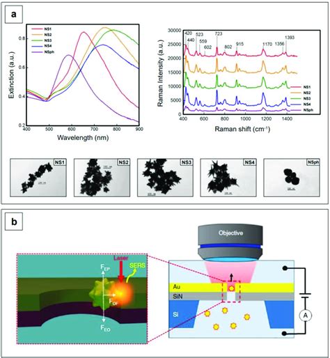 A Extinction Spectra Left And TEM Micrographs Bottom Of AuAg