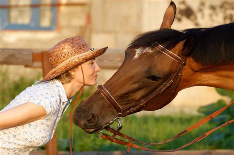 A guide on animal communication - Elearn College