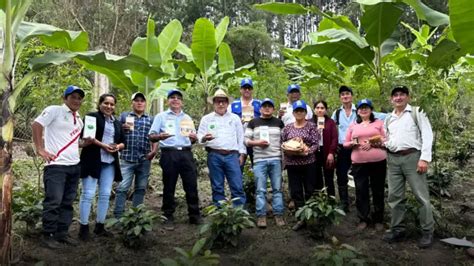 Gore Seis Productores De Caf En Piura Logran La Formalizaci N