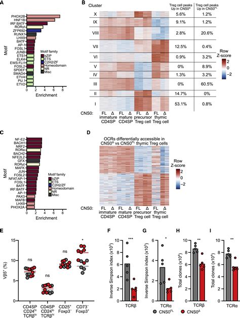 A Distal Foxp3 Enhancer Enables Interleukin 2 Dependent Thymic Treg