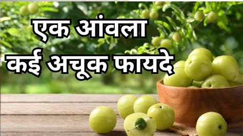 Amla Benefits सिर्फ एक आंवला खाने से कई बीमारी का होगा इलाज रोज खाली