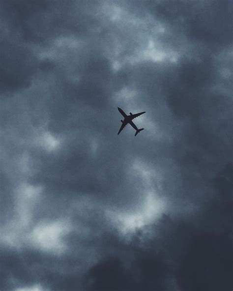 Free Images Bird Wing Cloud Sky Wind Flight Darkness