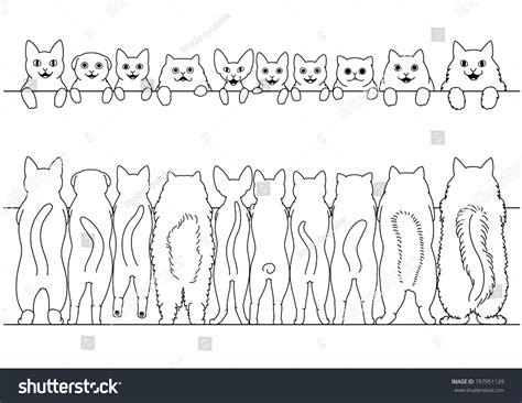 Standing Cats Front Back Border Set Stock Vector Royalty Free