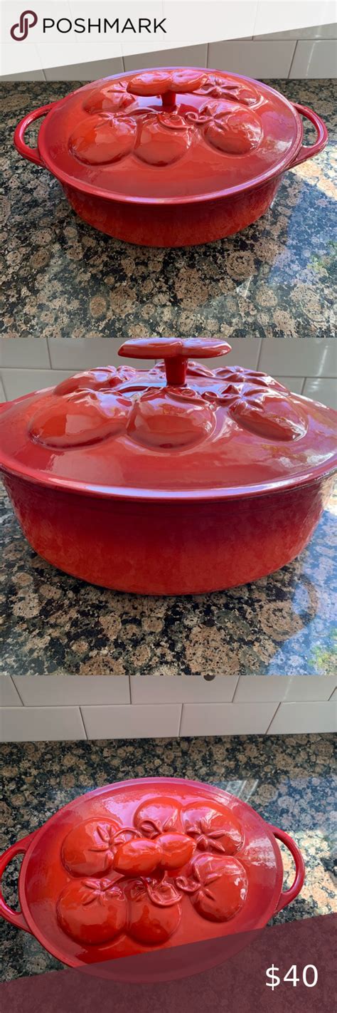 Technique Dutch Oven Technique Enamel Cast Iron Approx 45 To 5 Qt