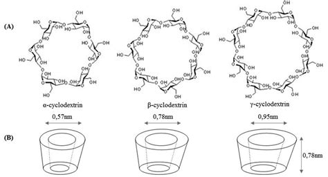 Structural organization of cyclodextrins A α cyclodextrin formed by