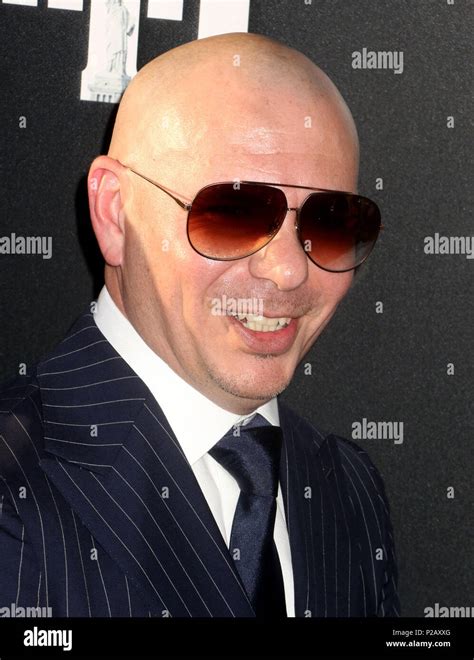 Pitbull Cantante Fotografías E Imágenes De Alta Resolución Alamy